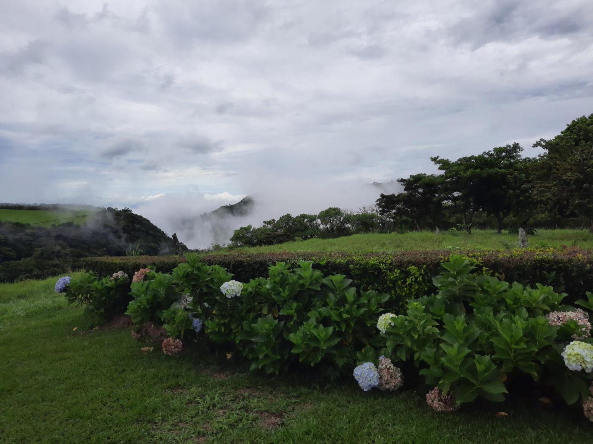 Campo Azul #2 - Monteverde Стая снимка