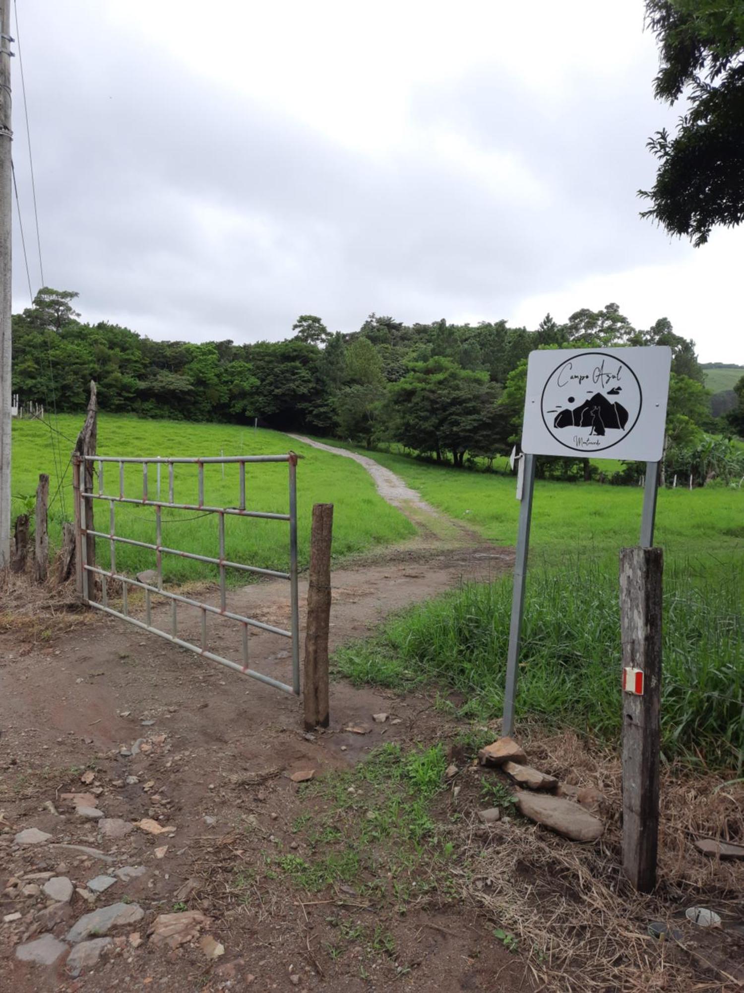 Campo Azul #2 - Monteverde Стая снимка